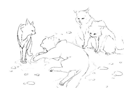 Warrior Cats Coloring Page
