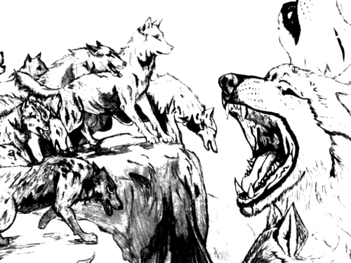 Wild Gray Wolves Coloring Page
