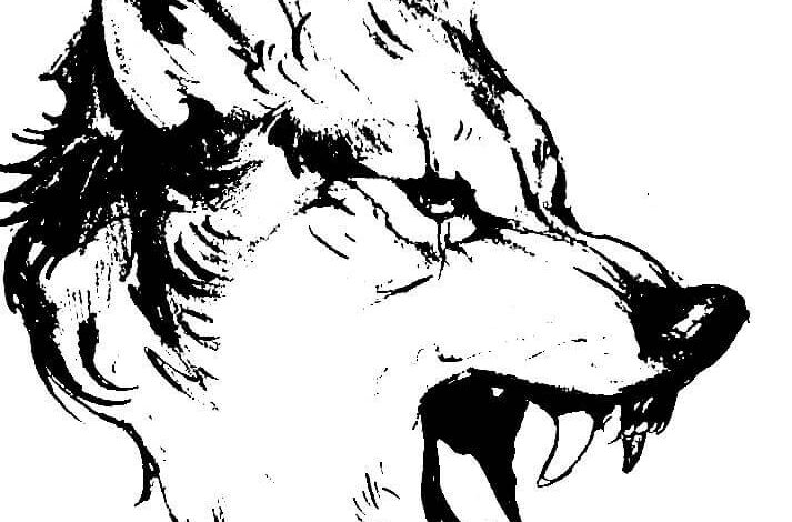Wolf Teeth Coloring Page