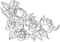 Adult Flowers Coloring Page