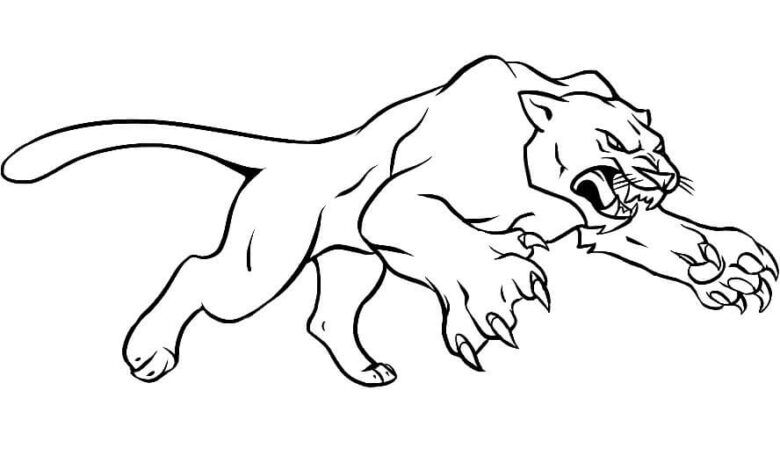 Animal Panther Coloring Page