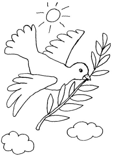 Animal Pigeon Coloring Page
