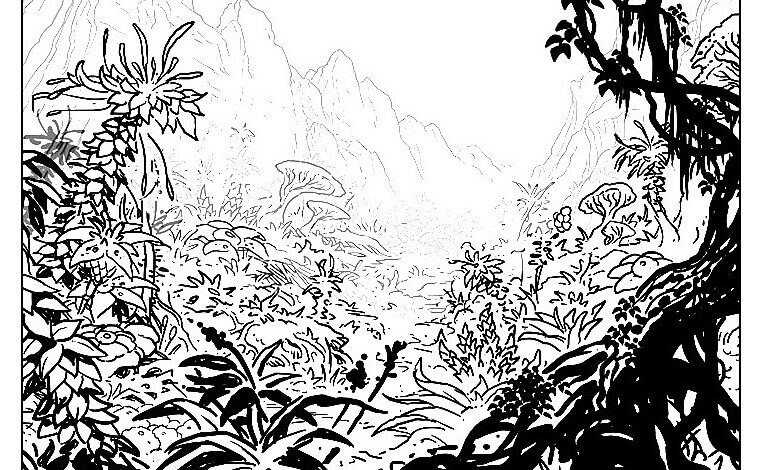 Best Jungle Coloring Page