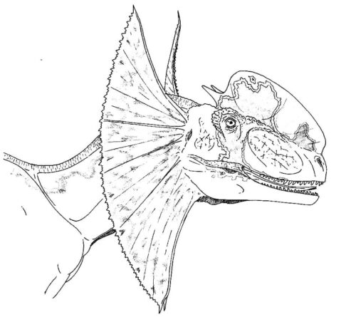 Dilophosaurus Coloring Pages » Turkau