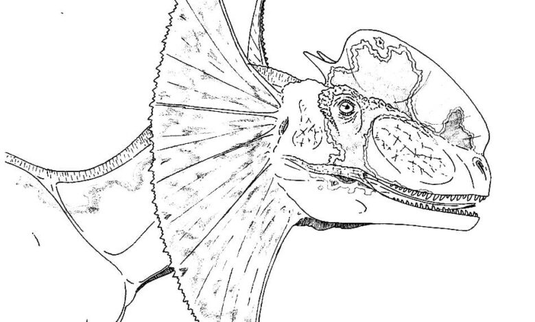 Dilophosaurus Coloring Pages