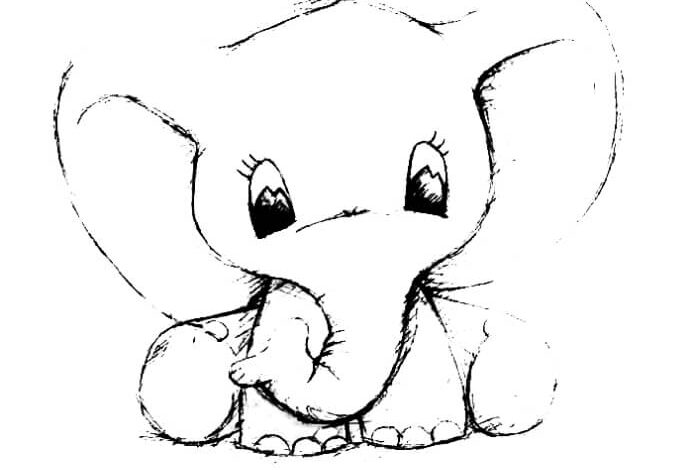 Elephant Cute Coloring Pages