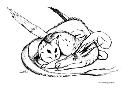 Fantastic Relaxation Coloring Page » Turkau