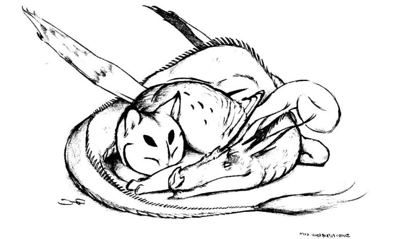 Fantastic Relaxation Coloring Page