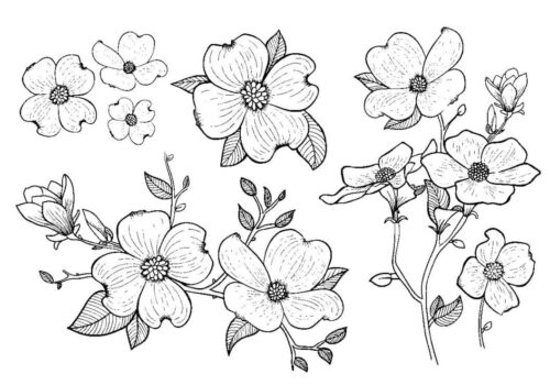 Flower Coloring Page