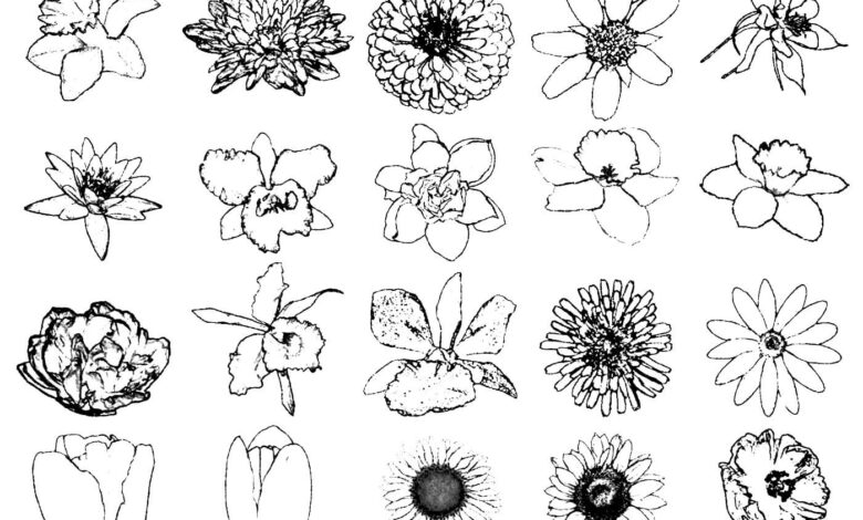Flowers Coloring Page