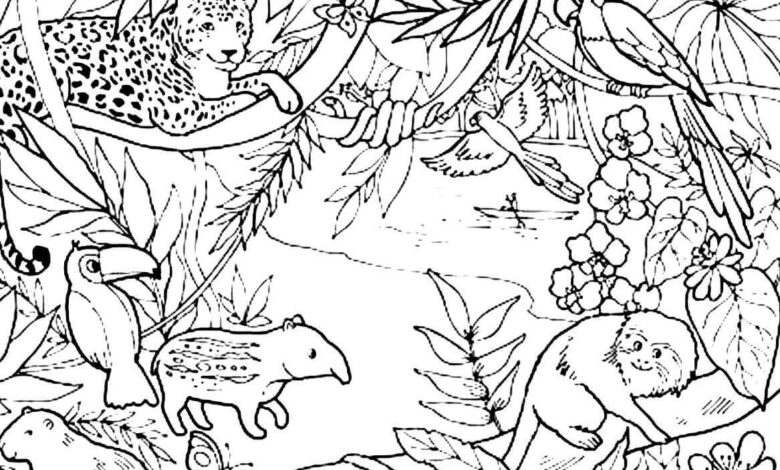 Forest Animals Coloring Page