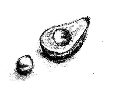 Fruit Avocado Coloring Page