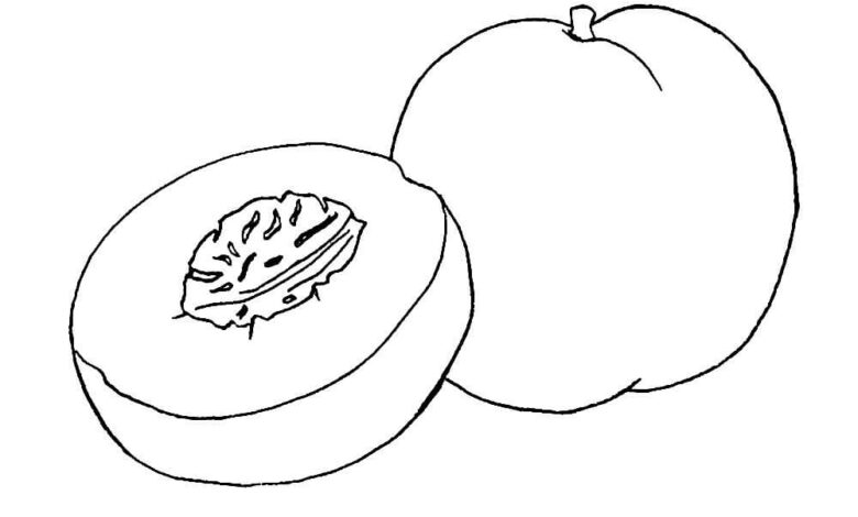 Fruit Peach Coloring Page