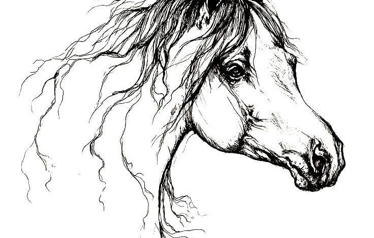 Horse Art Coloring Page