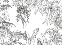 Jungle Coloring Page for Adults