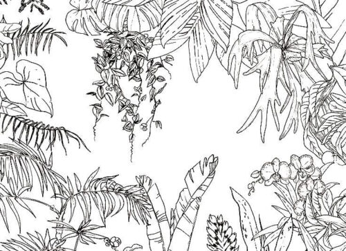 Jungle Coloring Page for Adults
