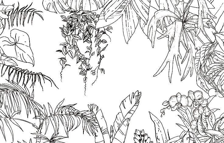 Jungle Coloring Page for Adults