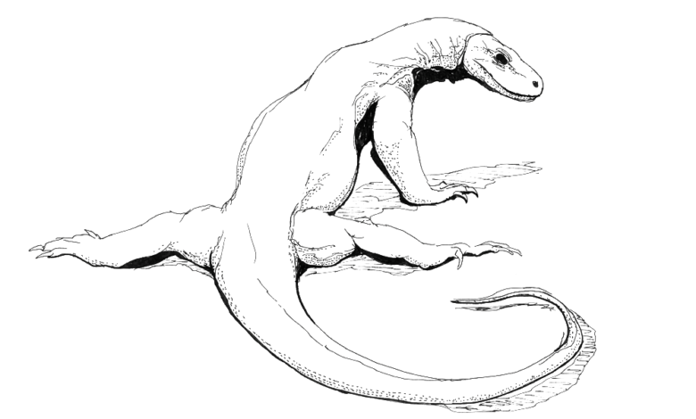 Komodo Dragon Coloring Page