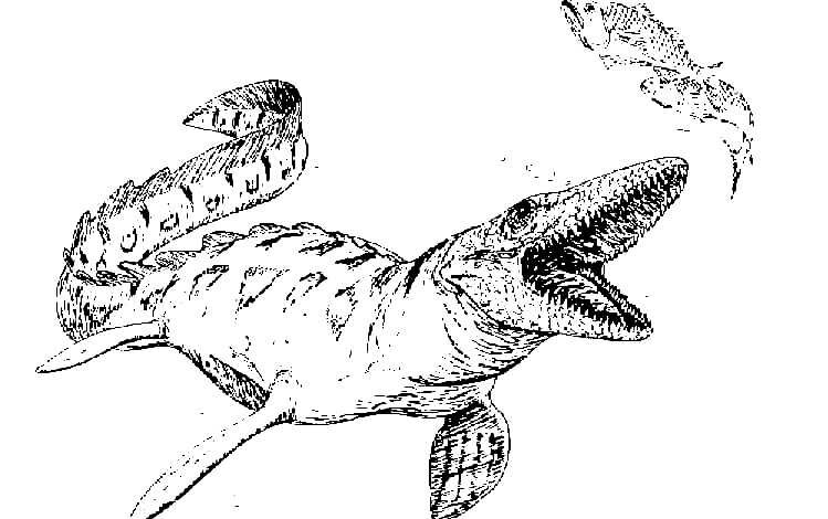 Mosasaurus Attack Coloring Page