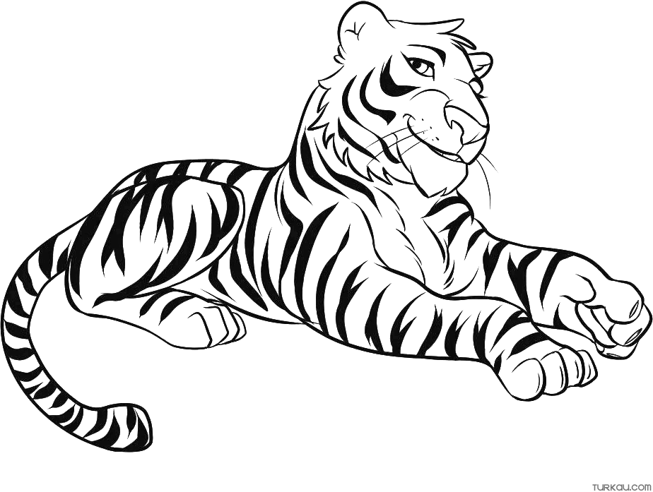 Tiger Coloring Pages For Kids & Adults - World of Printables