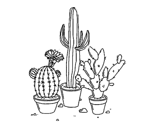 Aesthetic Cactus Coloring Page
