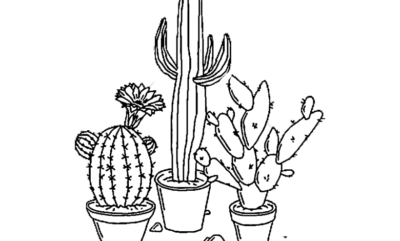 Aesthetic Cactus Coloring Page