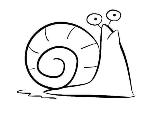 Animal Snail Coloring Page