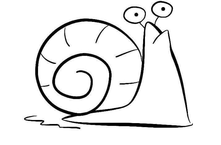 Animal Snail Coloring Page