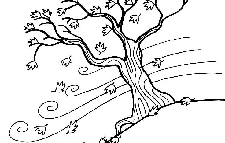 Autumn Wind Coloring Page