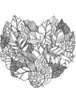 Beautiful Leaf Patterns Coloring Page