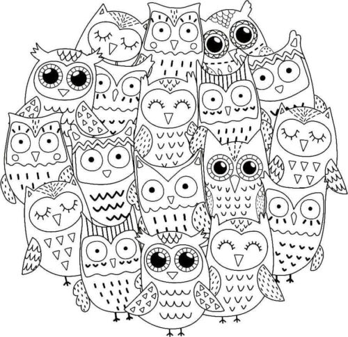 Beautiful Owls Coloring Page