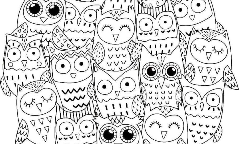 Beautiful Owls Coloring Page