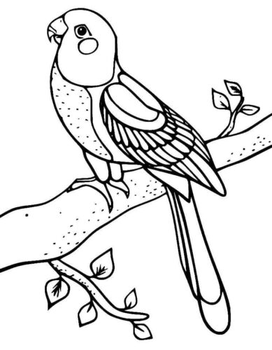 Beautiful Parrot Coloring Page
