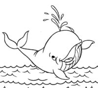 Best Animal Whale Coloring Page Best Animal Whale Coloring Page