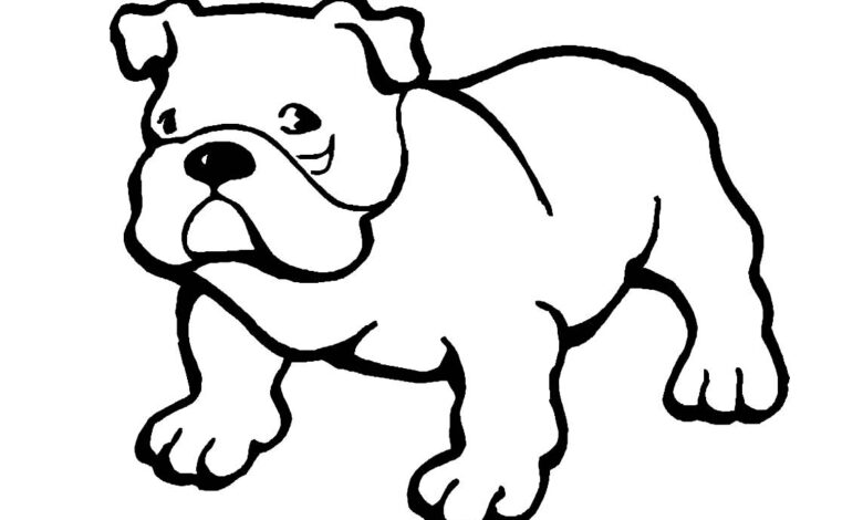 Buldog Dogs Coloring Pages