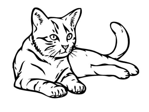 Careful Kitten Coloring Page