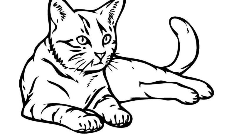 Careful Kitten Coloring Page