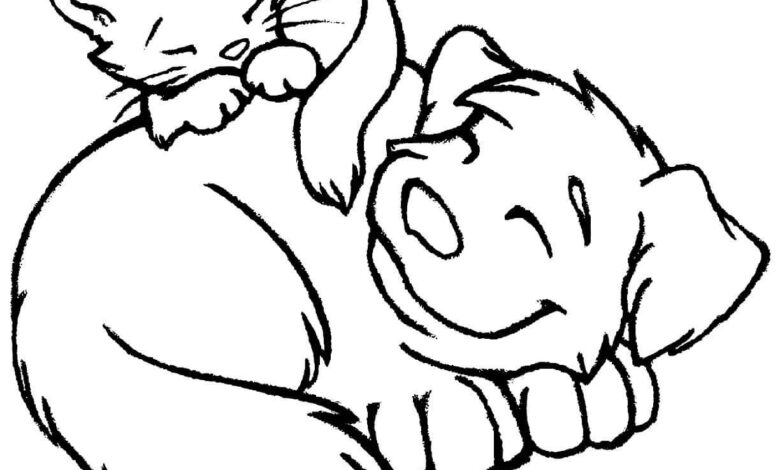 Cat and Dogs Coloring Pages