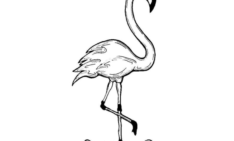Cool Flamingo Coloring Page