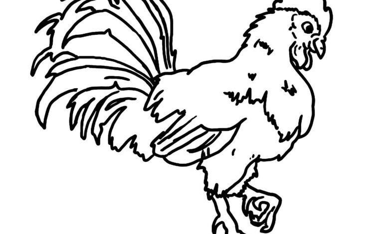 Cute Rooster Coloring Page