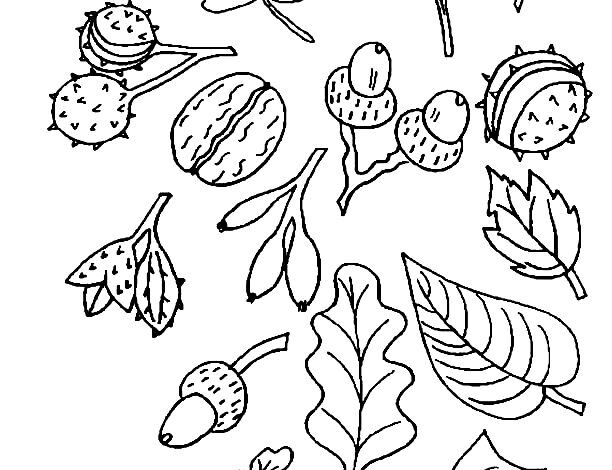 Different Fall Coloring Page