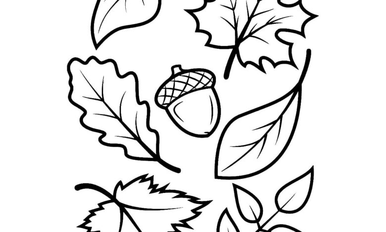 Different Leafs Fall Coloring Page