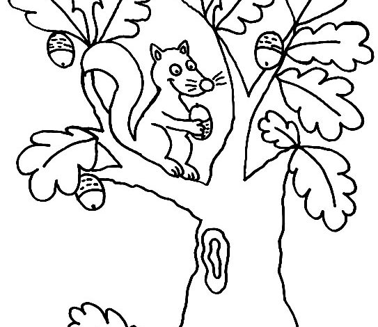 Fall Tree Coloring Page