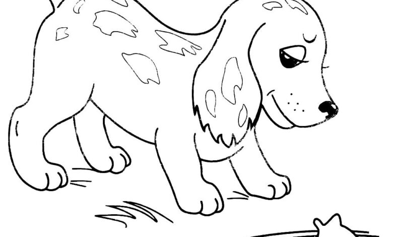 Fish and Dogs Coloring Pages