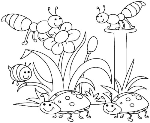 Flower Cartoon Coloring Page