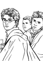 Harry Potter Friends Coloring Page