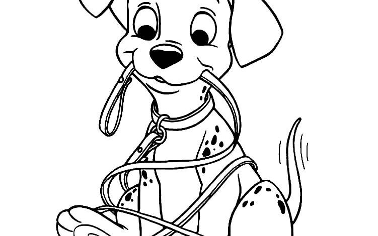 Leash Dogs Coloring Pages