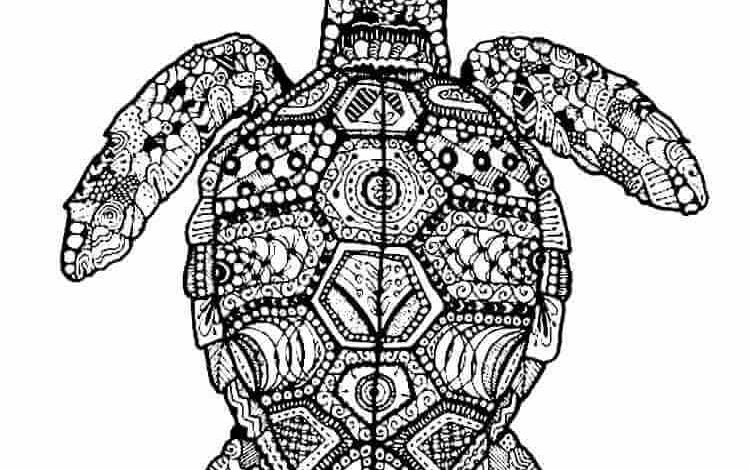 Mandala Turtle Coloring Page