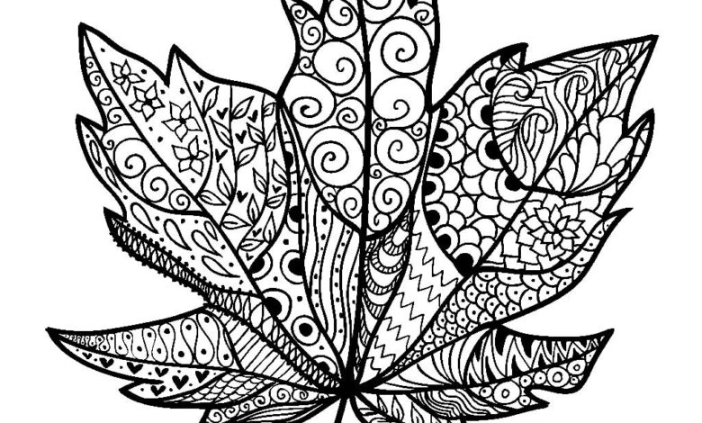 New Leaf Patterns Coloring Page