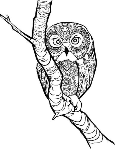 Realistic Coloring Page 1 Realistic Coloring Page